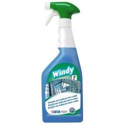LIMPA VIDROS WINDY KITER 750ML